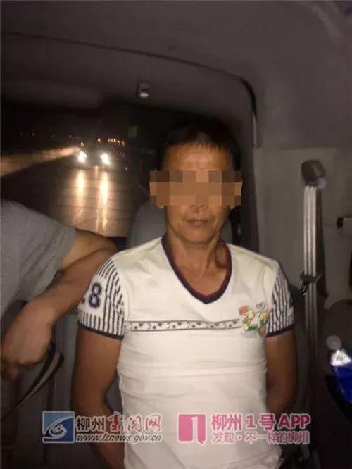 鹿寨最新租房信息，科技智能引領(lǐng)租房新體驗(yàn)