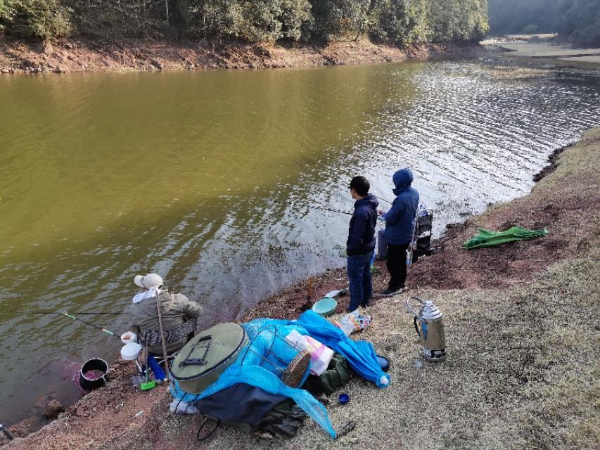 最新水庫釣魚視頻，探索釣魚樂趣與技巧全攻略