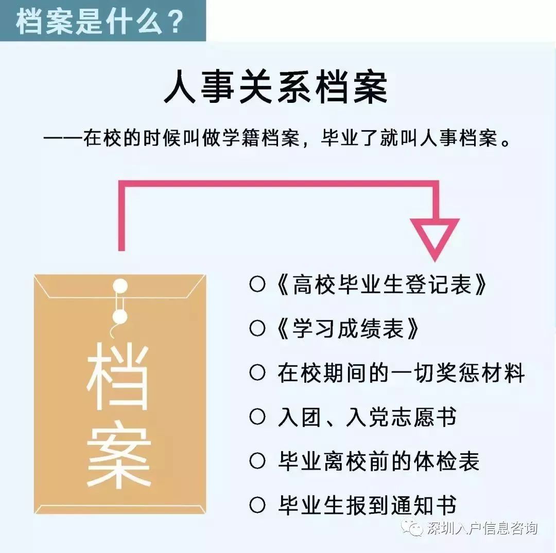 檔案人員補貼最新觀點論述，探討補貼政策與檔案人員發(fā)展的關(guān)系