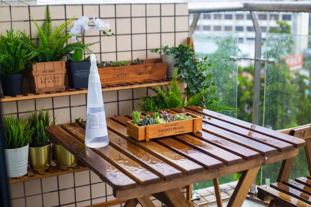 澳門今晚上必開一肖,快速解答方案設計_BBH10.637曝光版