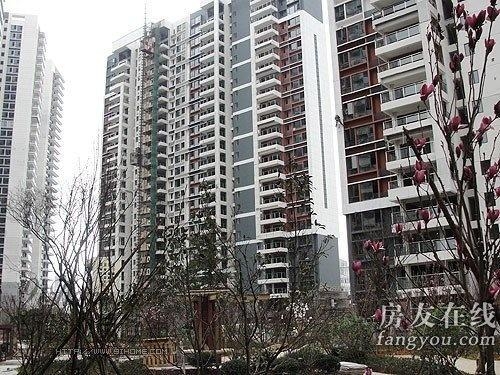 綠地長島公寓最新價格揭秘，小巷深處的隱藏寶藏