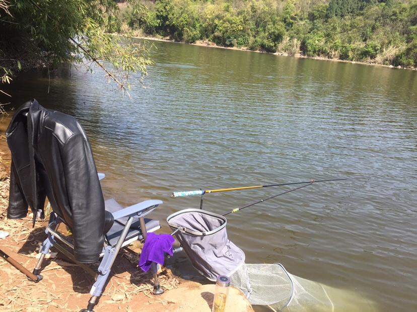 山門寺水庫釣魚最新指南，垂釣攻略與技巧分享