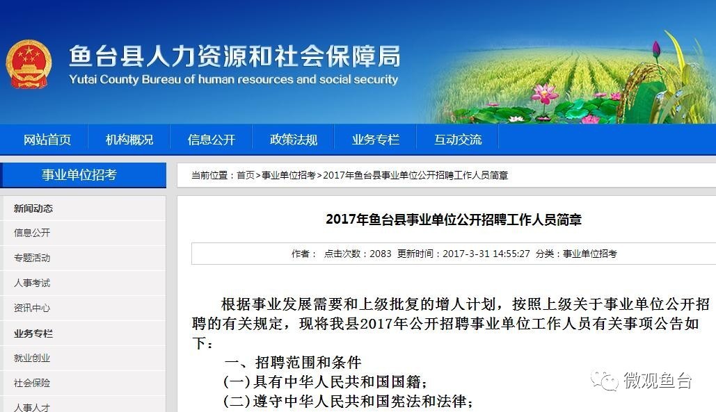 魚(yú)臺(tái)最新招聘信息大全，求職步驟指南與招聘信息更新速遞