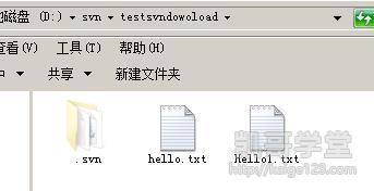 Jav最新網(wǎng)址探索，小巷深處的獨(dú)特風(fēng)味之旅