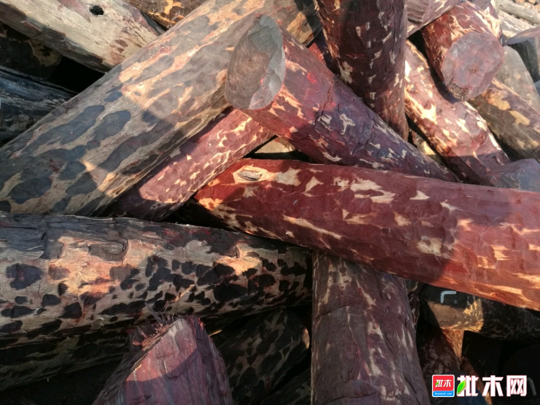 工程廠房燈具 第257頁(yè)