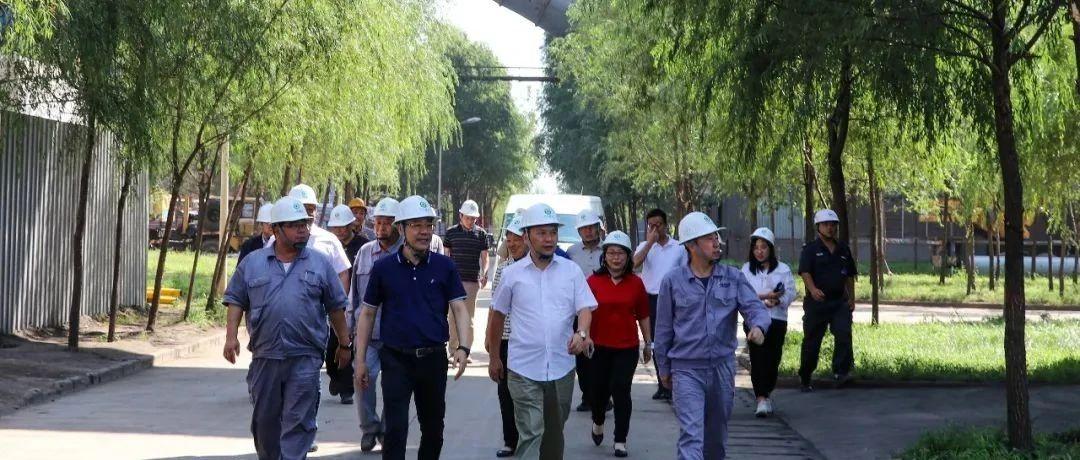 最新鍋爐工招聘信息揭秘，鍋爐工的溫馨日常故事探索