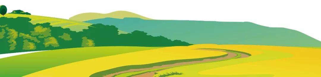 藍田縣未來藍圖，最新發(fā)展規(guī)劃揭秘