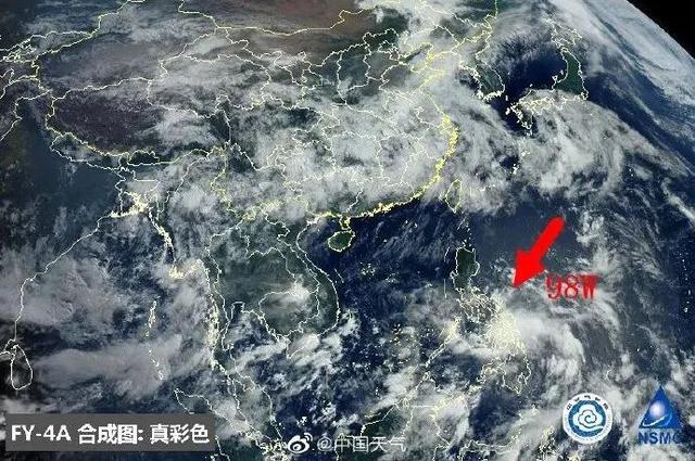 臺風(fēng)鸚鵡的最新動態(tài)，逆風(fēng)翱翔的力量與學(xué)習(xí)魅力