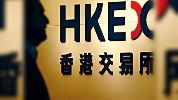 海外歸來(lái)最新動(dòng)態(tài)，全面解讀最新資訊