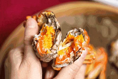 ??陽(yáng)澄湖螃蟹上市季節(jié)情報(bào)，吃貨必知的秋季美味盛宴！??