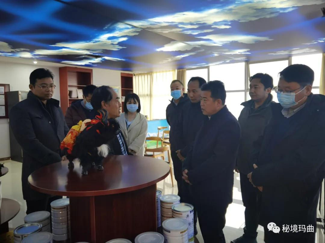 高原之寶上市，學(xué)習(xí)、蛻變與自信的輝煌之旅