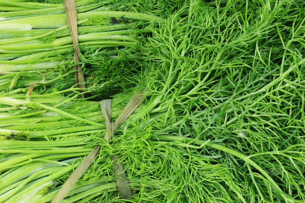 茴香價(jià)格動(dòng)態(tài)，香氣變化與你的關(guān)聯(lián)