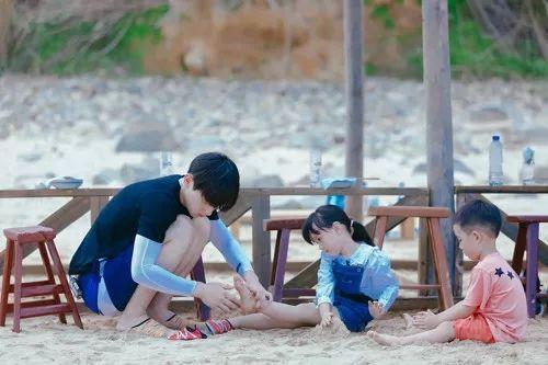 最新TV版資訊深度剖析，電視劇熱潮的影響力與影響