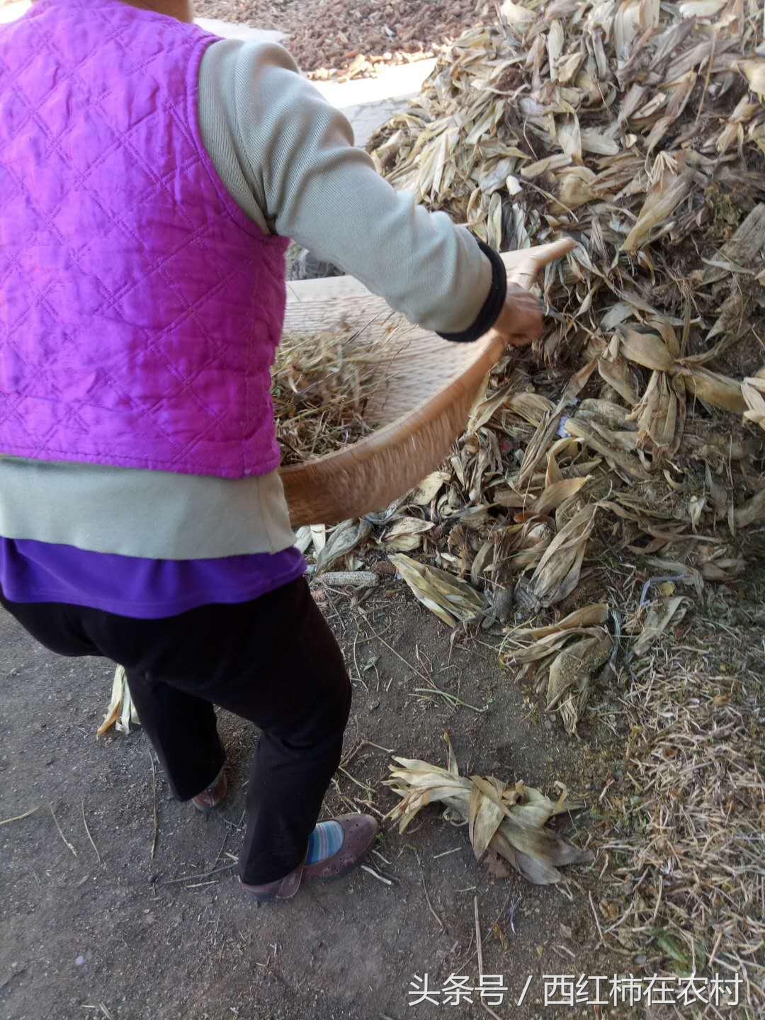 彬縣撤縣設區(qū)最新進展，最新動態(tài)更新