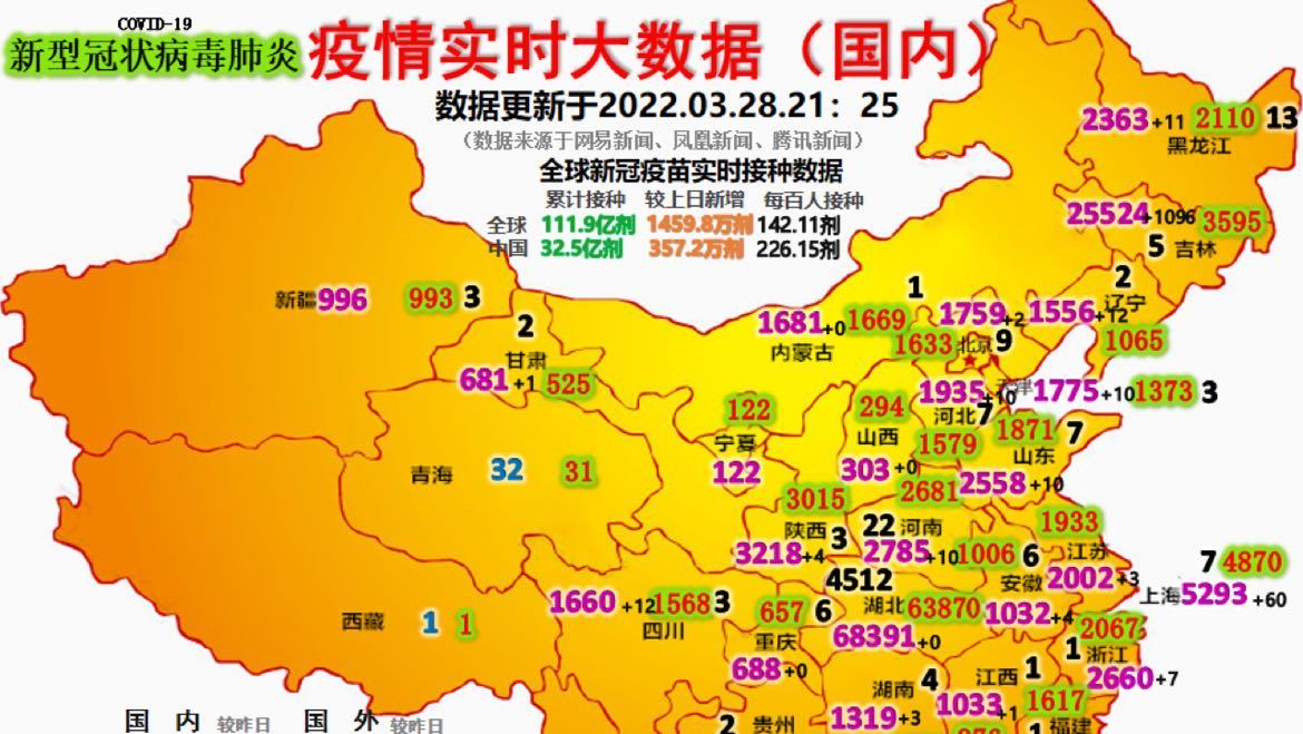 最新疫情動(dòng)態(tài)詳解，初學(xué)者與進(jìn)階用戶的步驟指南