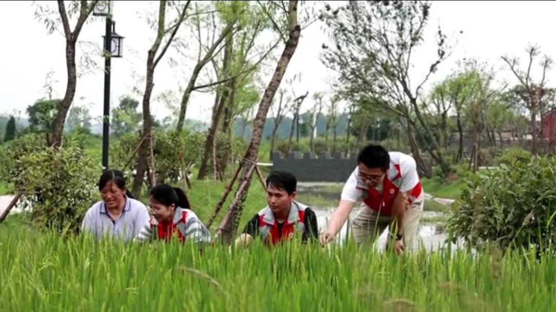 曲陽(yáng)縣城最新招聘信息揭秘，小巷中的獨(dú)特小店等你來(lái)探索！