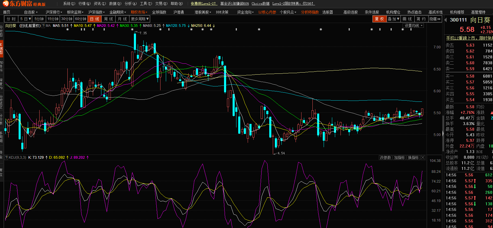 股市小天地，友情大天地——我與股票300141的日常故事分享