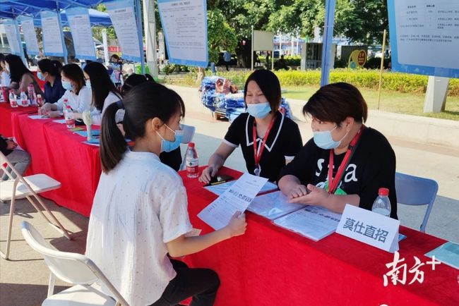 石碣最新招聘動態(tài)，把握職業(yè)機遇，共創(chuàng)美好未來之路