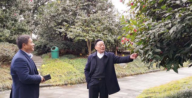 最新花木求購(gòu)，開(kāi)啟一場(chǎng)尋綠之旅的溫馨旅程