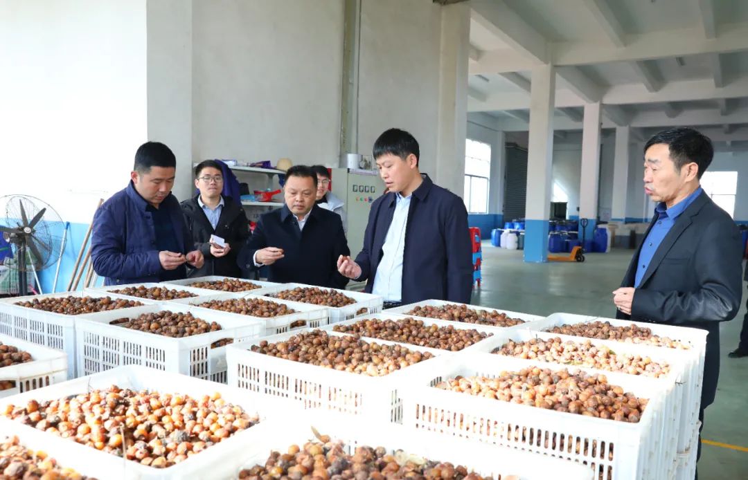 建寧最新新聞，城市溫馨日常與友情力量的展現(xiàn)