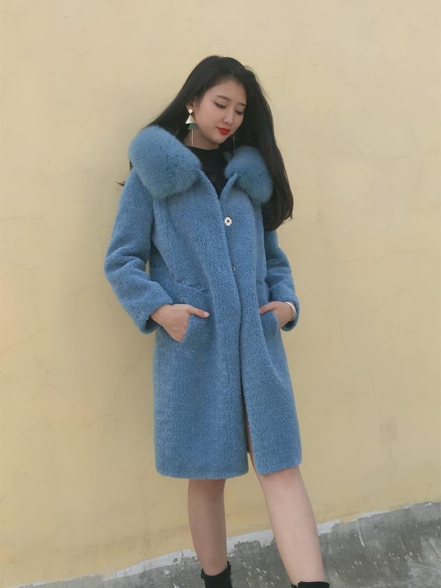 三七花最新價格揭秘，溫馨小故事中的尋找之旅