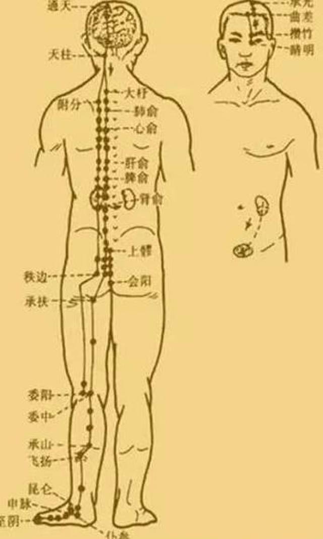 最新經(jīng)絡(luò)操，探索古老奧秘，重塑健康身姿