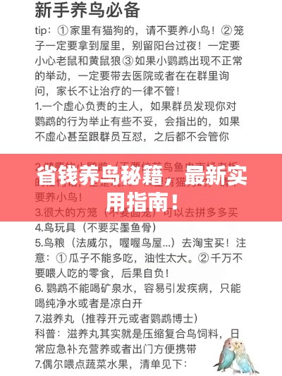 最新養(yǎng)鳥法規(guī)解析，觀點闡述與深度探討