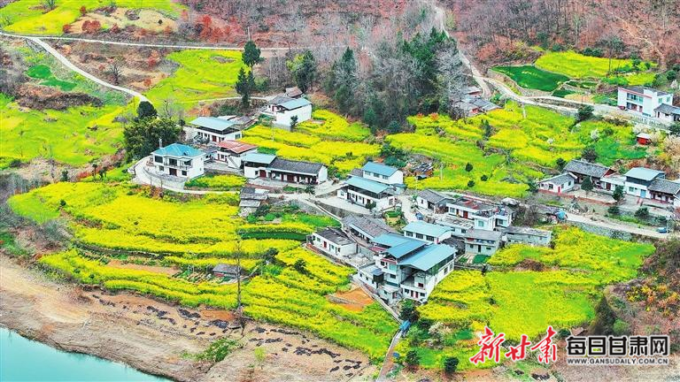揭秘文縣，歷史背景、重大事件與時(shí)代地位全景展示