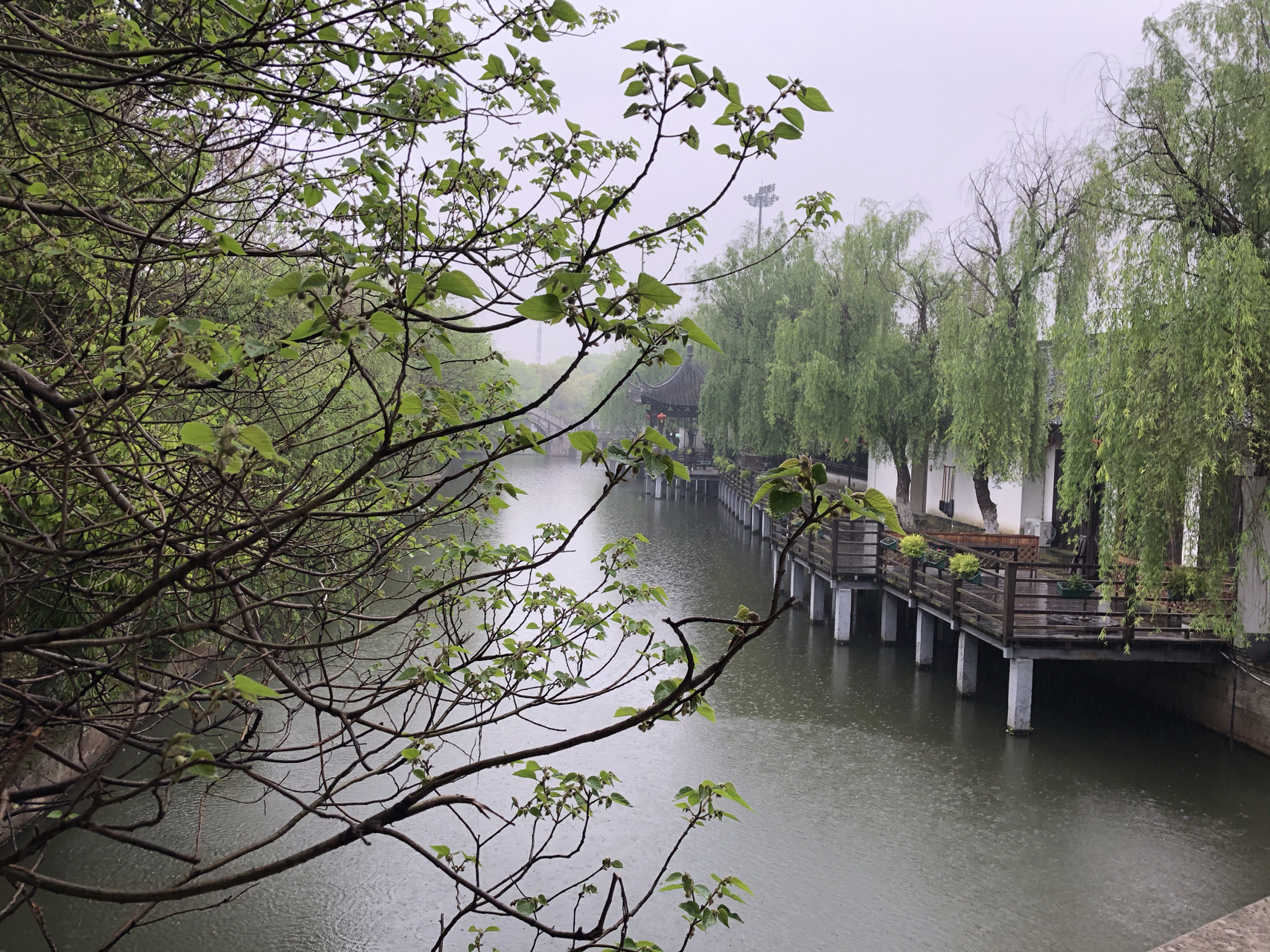 江南煙雨最新，自信與成就感的成長(zhǎng)之旅