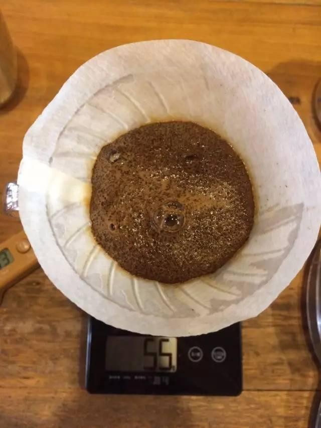 最新萃取法詳解，步驟指南與操作技巧