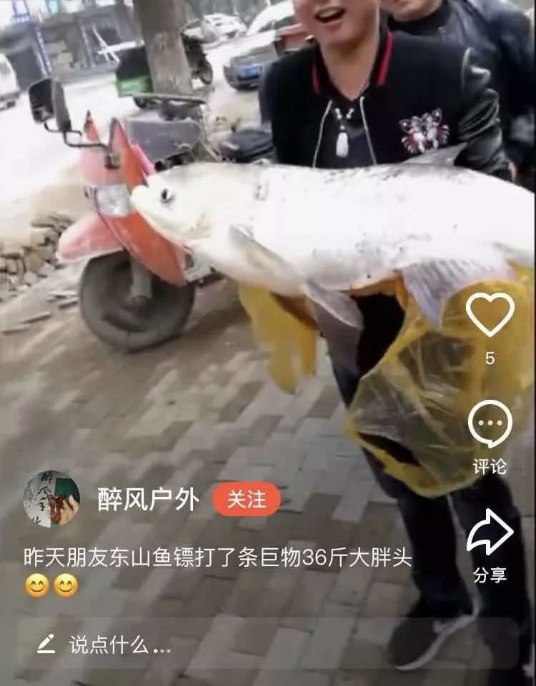 射魚神器進化升級，學習變革與自信成就之源
