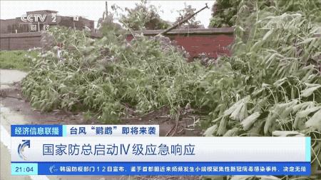 超強臺風鸚鵡來襲，最新路徑動態(tài)全解析???