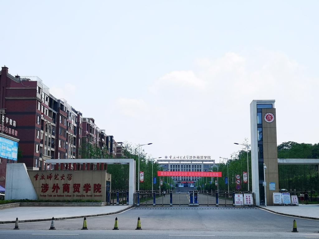 最新本科專業(yè)探秘，小巷中的隱藏寶藏之門